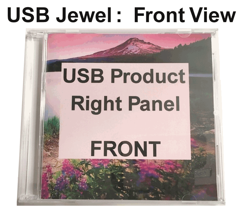 front of usb jewel casel